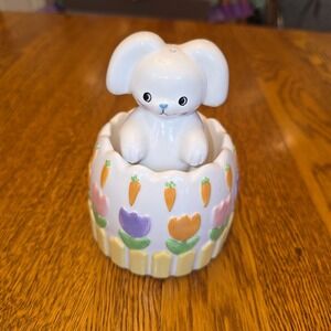 Nesting Easter Bunny Garden Salt & Pepper Shaker Set Pastel Spring Decor 2 pc